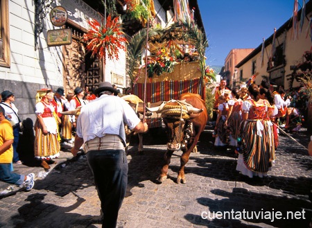 Romería en La Orotava. Tenerife.